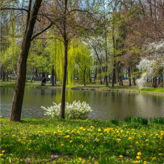 Что получилось: Короткий промт: «A park in the spring next to a lake»